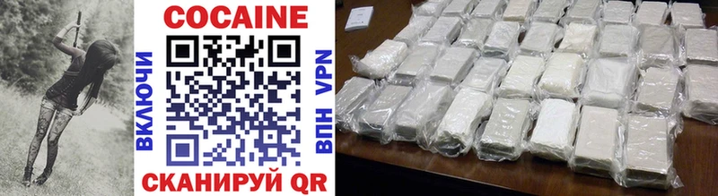 купить наркотики цена  Саяногорск  Cocaine FishScale 