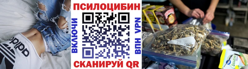blacksprut ссылки  Саяногорск  Псилоцибиновые грибы Psilocybine cubensis 